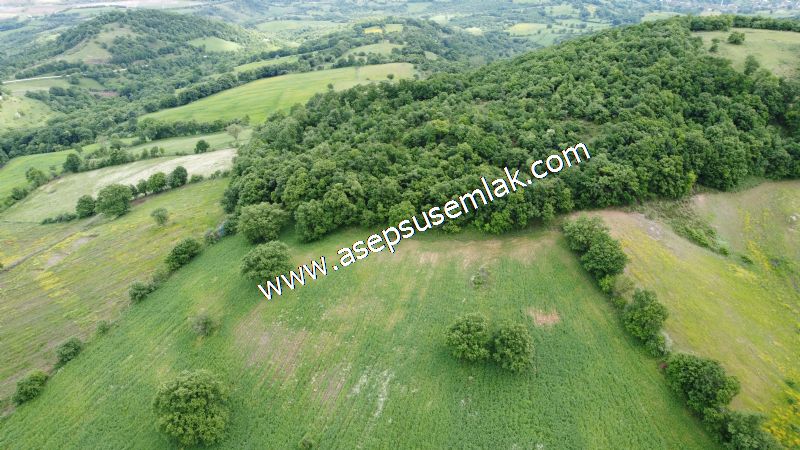16.020 M2 Hayvancılık, Çiftlik, Meyva & Hobi Bahçesi Resmi Yolu