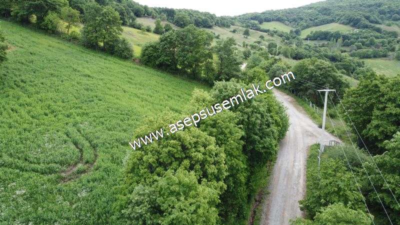 16.020 M2 Hayvancılık, Çiftlik, Meyva & Hobi Bahçesi Resmi Yolu