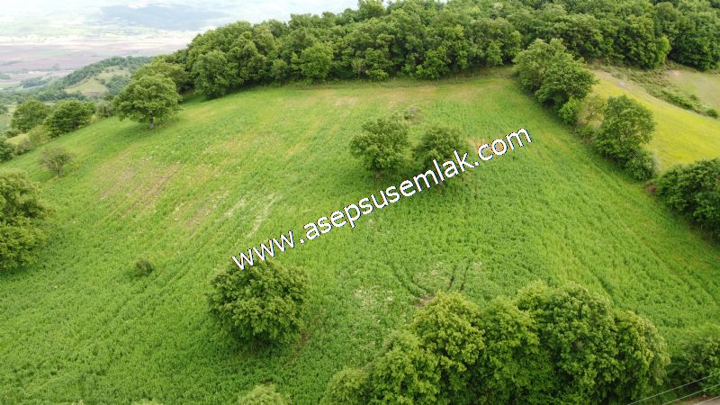 16.020 M2 Hayvancılık, Çiftlik, Meyva & Hobi Bahçesi Resmi Yolu