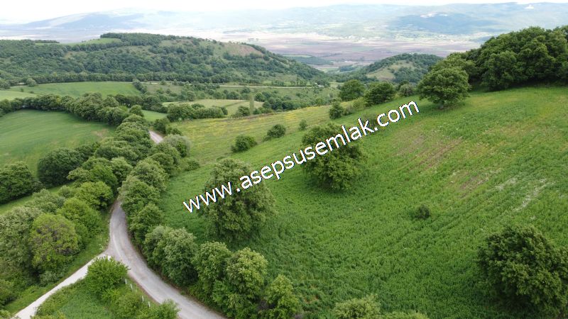 16.020 M2 Hayvancılık, Çiftlik, Meyva & Hobi Bahçesi Resmi Yolu