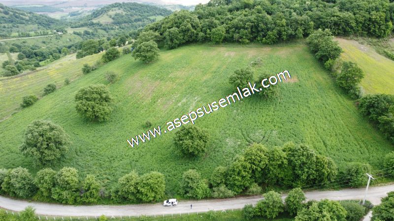 16.020 M2 Hayvancılık, Çiftlik, Meyva & Hobi Bahçesi Resmi Yolu