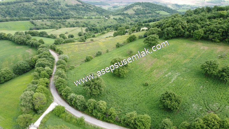 16.020 M2 Hayvancılık, Çiftlik, Meyva & Hobi Bahçesi Resmi Yolu