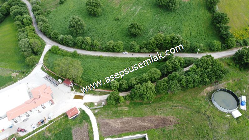16.020 M2 Hayvancılık, Çiftlik, Meyva & Hobi Bahçesi Resmi Yolu
