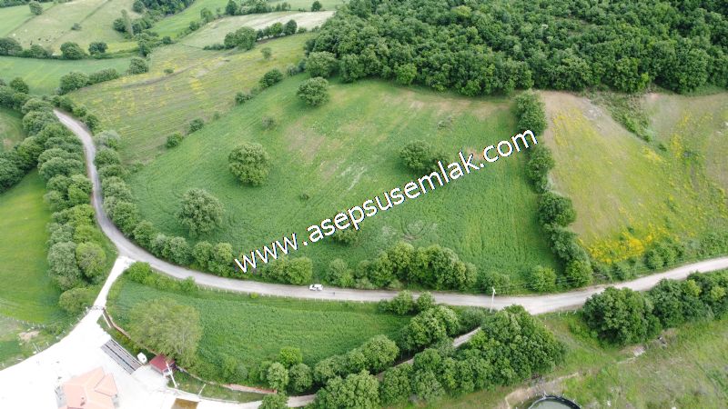 16.020 M2 Hayvancılık, Çiftlik, Meyva & Hobi Bahçesi Resmi Yolu