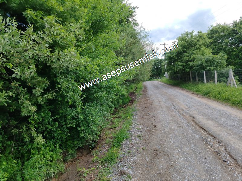 16.020 M2 Hayvancılık, Çiftlik, Meyva & Hobi Bahçesi Resmi Yolu