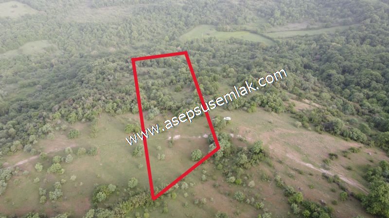 7.000 M2 Balya Danışment'te Göl Manzaralı Yatırımlık Tarla