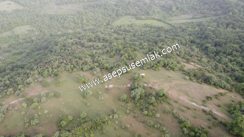 7.000 M2 Balya Danışment'te Göl Manzaralı Yatırımlık Tarla