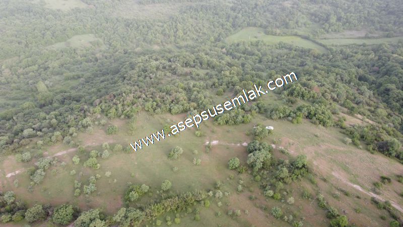7.000 M2 Balya Danışment'te Göl Manzaralı Yatırımlık Tarla