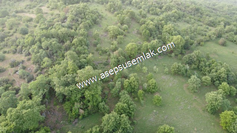 7.000 M2 Balya Danışment'te Göl Manzaralı Yatırımlık Tarla