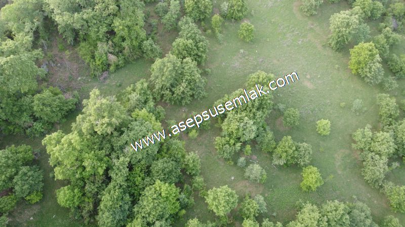 7.000 M2 Balya Danışment'te Göl Manzaralı Yatırımlık Tarla