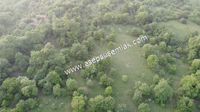 7.000 M2 Balya Danışment'te Göl Manzaralı Yatırımlık Tarla