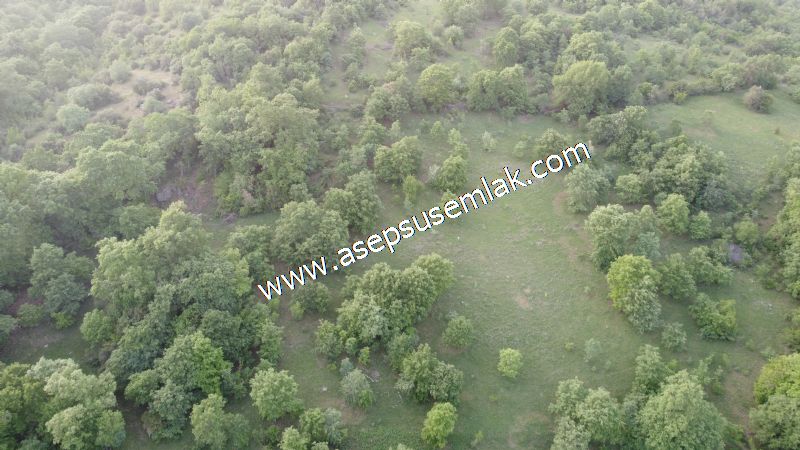 7.000 M2 Balya Danışment'te Göl Manzaralı Yatırımlık Tarla