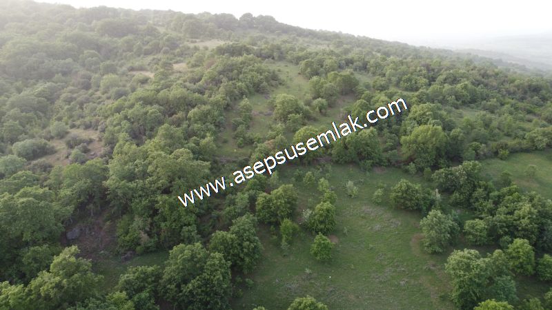7.000 M2 Balya Danışment'te Göl Manzaralı Yatırımlık Tarla