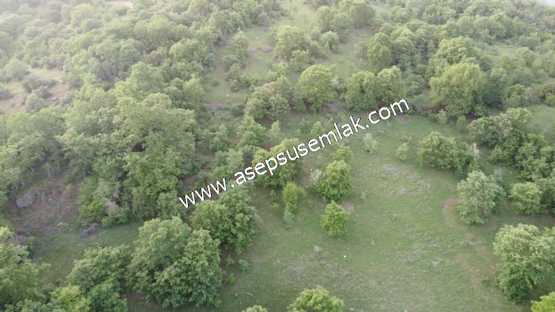 7.000 M2 Balya Danışment'te Göl Manzaralı Yatırımlık Tarla