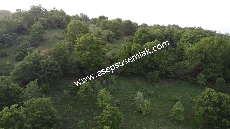 7.000 M2 Balya Danışment'te Göl Manzaralı Yatırımlık Tarla