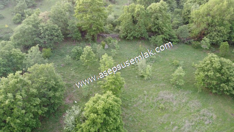 7.000 M2 Balya Danışment'te Göl Manzaralı Yatırımlık Tarla