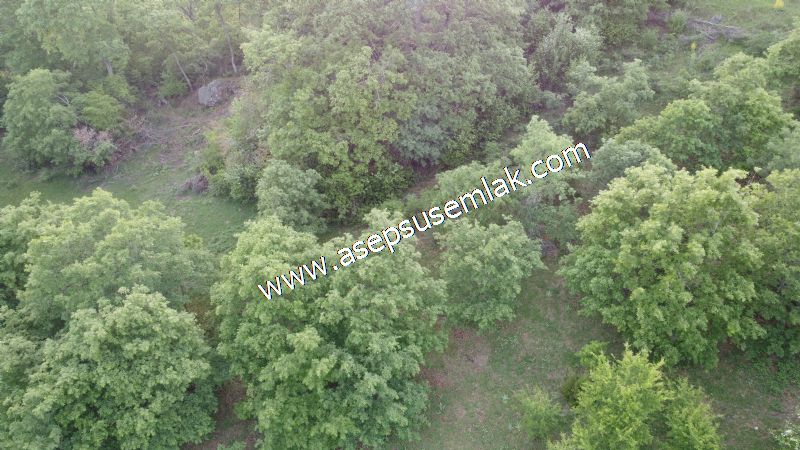 7.000 M2 Balya Danışment'te Göl Manzaralı Yatırımlık Tarla