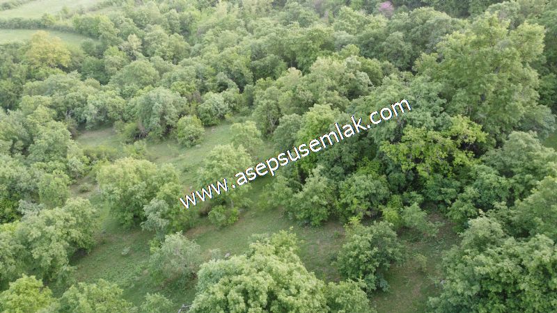 7.000 M2 Balya Danışment'te Göl Manzaralı Yatırımlık Tarla