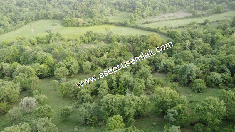 7.000 M2 Balya Danışment'te Göl Manzaralı Yatırımlık Tarla
