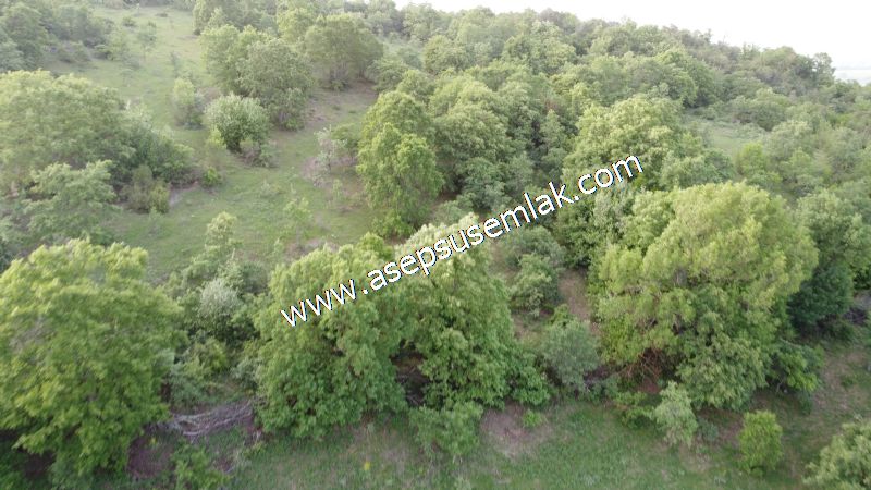 7.000 M2 Balya Danışment'te Göl Manzaralı Yatırımlık Tarla