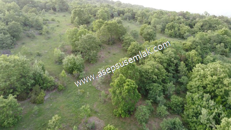7.000 M2 Balya Danışment'te Göl Manzaralı Yatırımlık Tarla