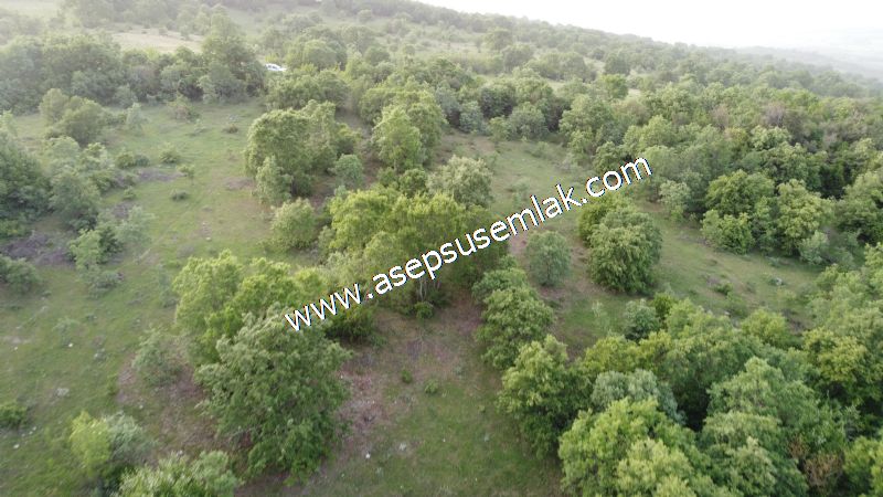 7.000 M2 Balya Danışment'te Göl Manzaralı Yatırımlık Tarla