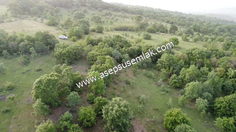 7.000 M2 Balya Danışment'te Göl Manzaralı Yatırımlık Tarla