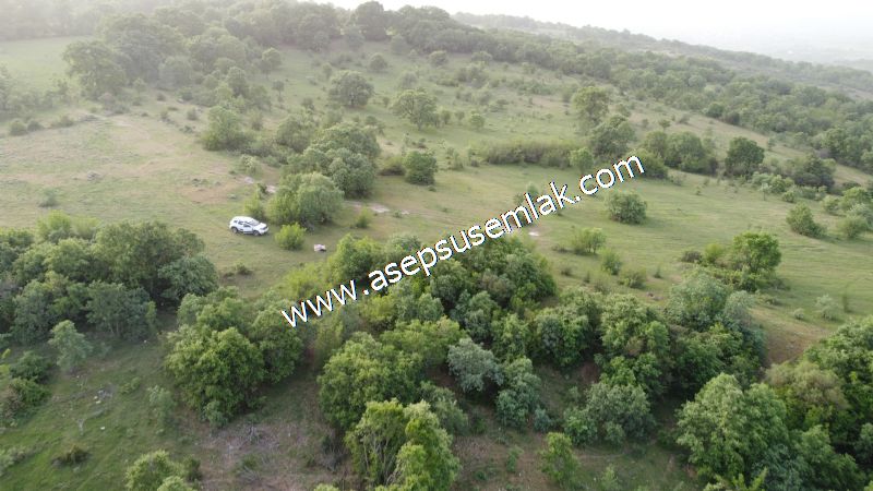 7.000 M2 Balya Danışment'te Göl Manzaralı Yatırımlık Tarla