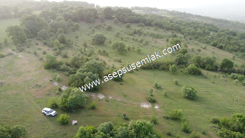7.000 M2 Balya Danışment'te Göl Manzaralı Yatırımlık Tarla
