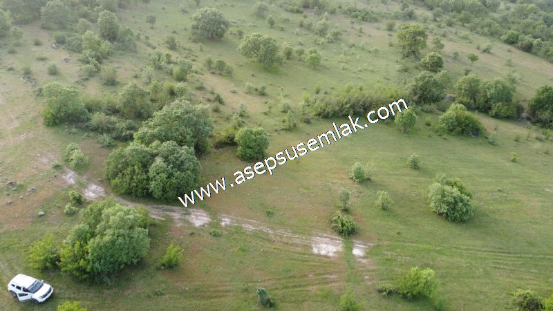 7.000 M2 Balya Danışment'te Göl Manzaralı Yatırımlık Tarla