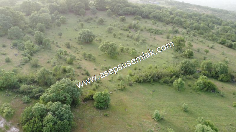 7.000 M2 Balya Danışment'te Göl Manzaralı Yatırımlık Tarla