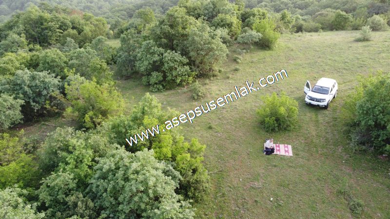 7.000 M2 Balya Danışment'te Göl Manzaralı Yatırımlık Tarla