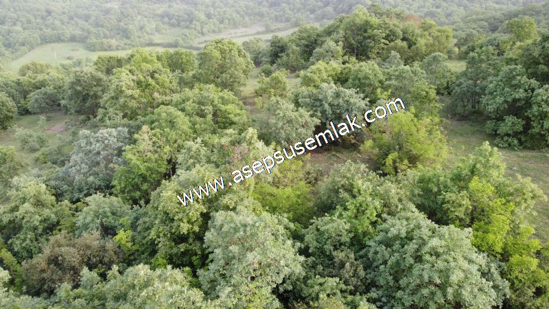 7.000 M2 Balya Danışment'te Göl Manzaralı Yatırımlık Tarla