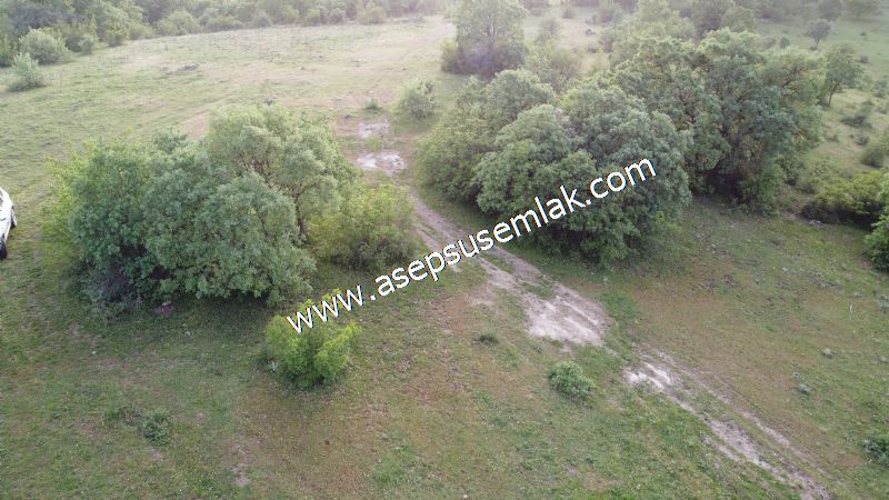 7.000 M2 Balya Danışment'te Göl Manzaralı Yatırımlık Tarla