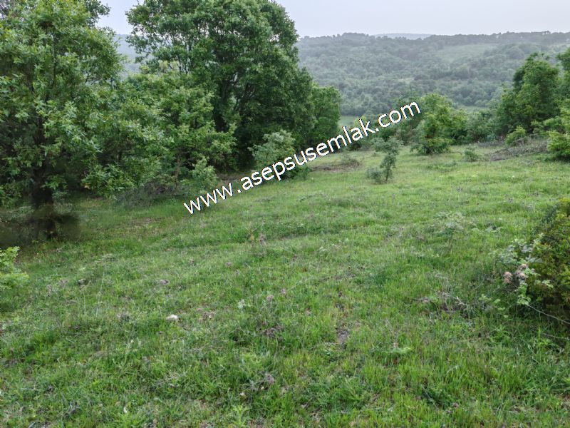 7.000 M2 Balya Danışment'te Göl Manzaralı Yatırımlık Tarla