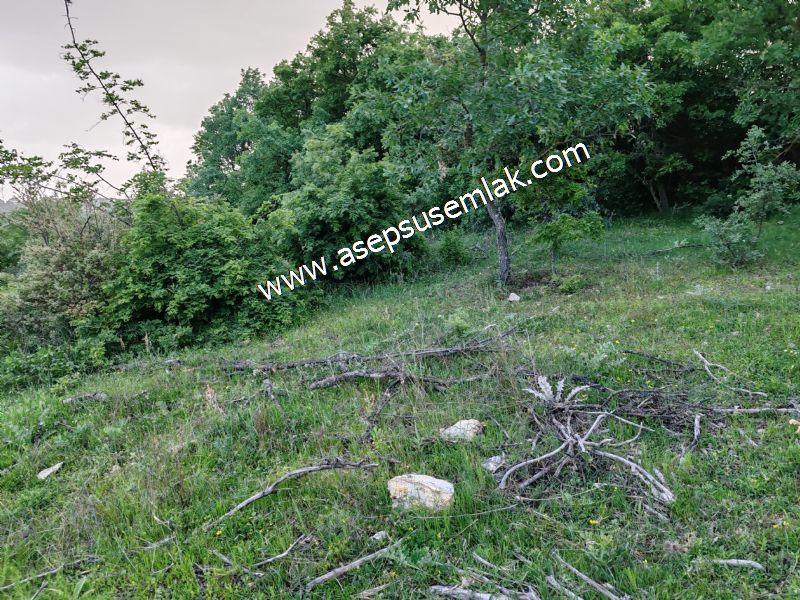 7.000 M2 Balya Danışment'te Göl Manzaralı Yatırımlık Tarla