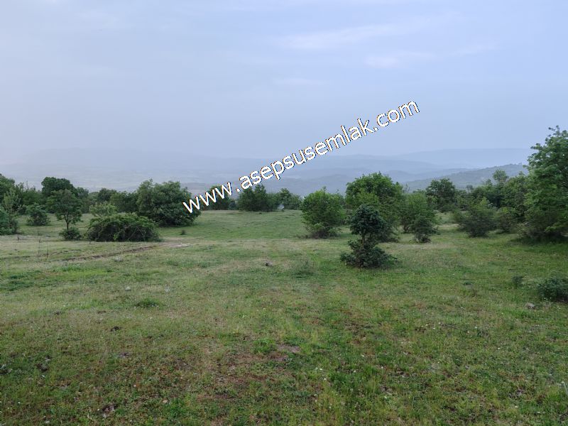 7.000 M2 Balya Danışment'te Göl Manzaralı Yatırımlık Tarla