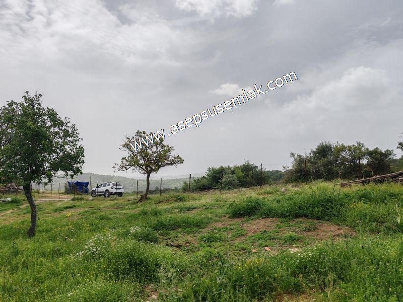 337 M2 İmarlı Arsa 2 %40 İmarlı Köy Evi, Dam Arsa Boş Yola Cephe