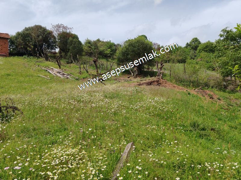 337 M2 İmarlı Arsa 2 %40 İmarlı Köy Evi, Dam Arsa Boş Yola Cephe
