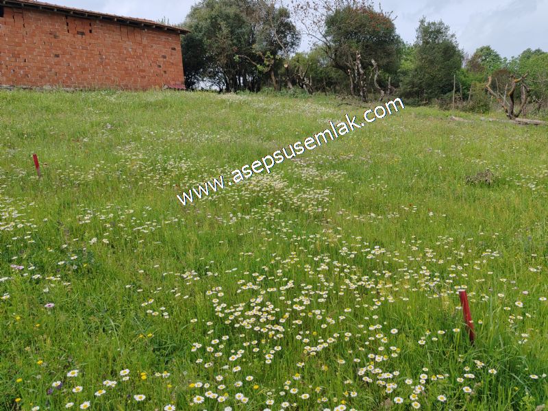 337 M2 İmarlı Arsa 2 %40 İmarlı Köy Evi, Dam Arsa Boş Yola Cephe