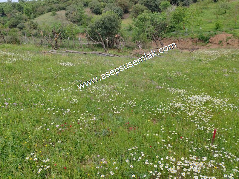 337 M2 İmarlı Arsa 2 %40 İmarlı Köy Evi, Dam Arsa Boş Yola Cephe