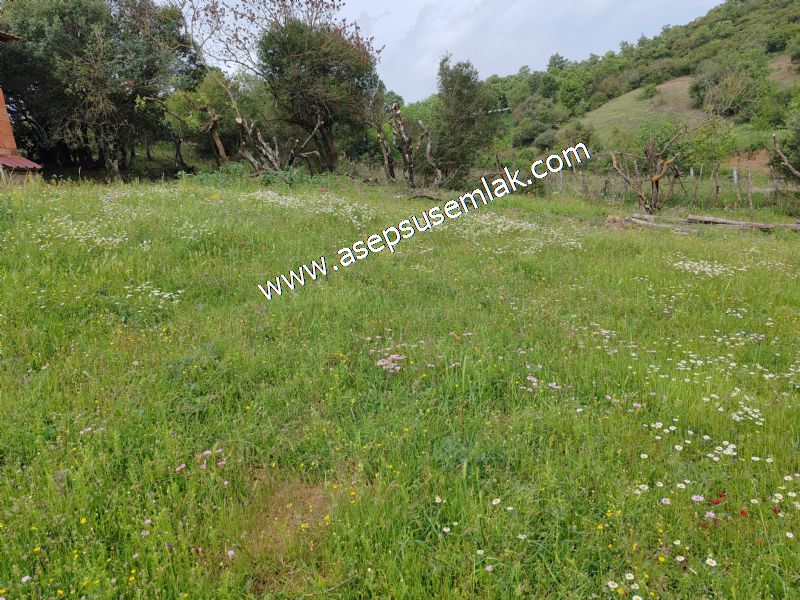 337 M2 İmarlı Arsa 2 %40 İmarlı Köy Evi, Dam Arsa Boş Yola Cephe