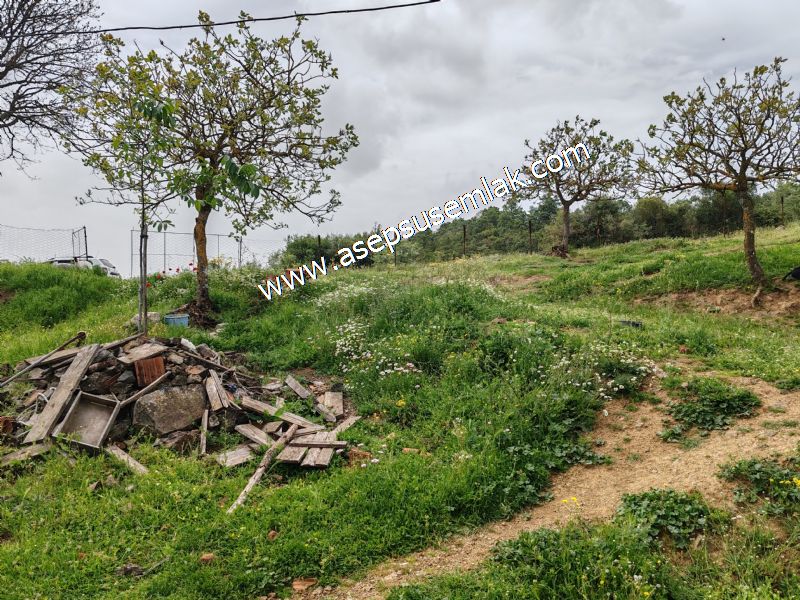 938 M2 Köy Evi İmarlı Arsa 2 Katlı Yeni Bina Oturulabilir