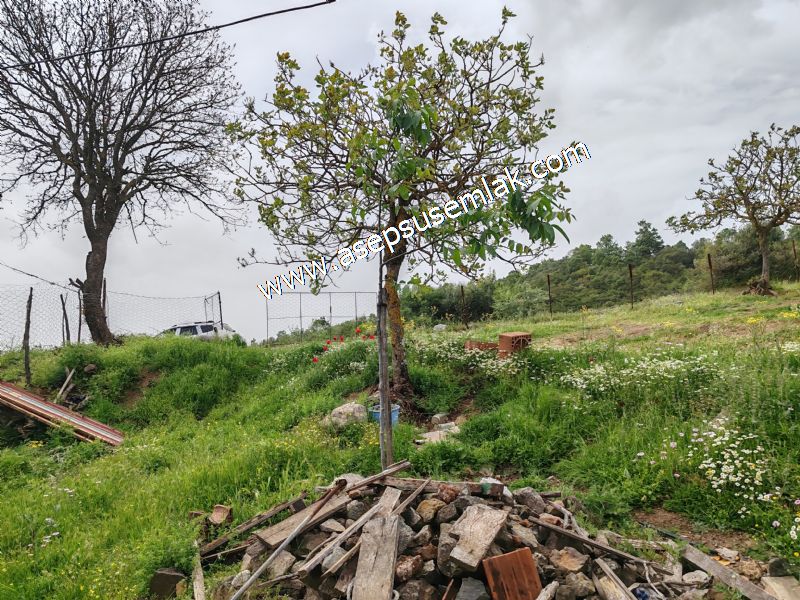 938 M2 Köy Evi İmarlı Arsa 2 Katlı Yeni Bina Oturulabilir