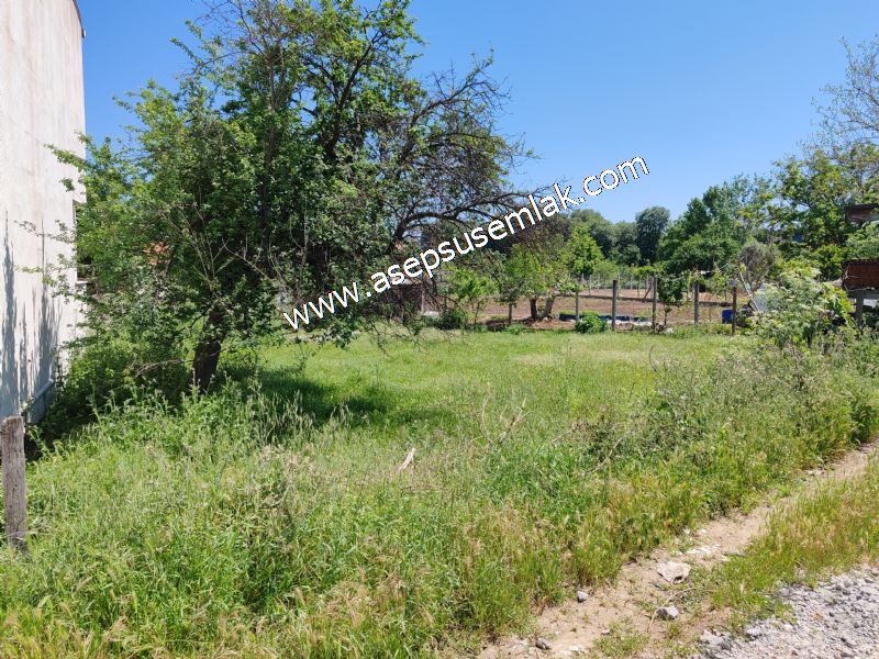 276 M2 Gönen Tırnova Mah.Satılık Konut İmarlı Arsa Asepsus Emlak