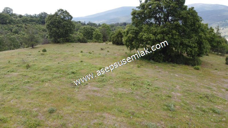 26.140 M2 GES (GÜNEŞ ENERJİ SİSTEMİ) (MARJİNAL RAPORLU)