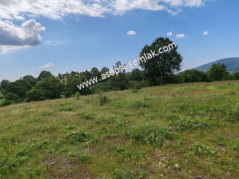26.140 M2 GES (GÜNEŞ ENERJİ SİSTEMİ) (MARJİNAL RAPORLU)