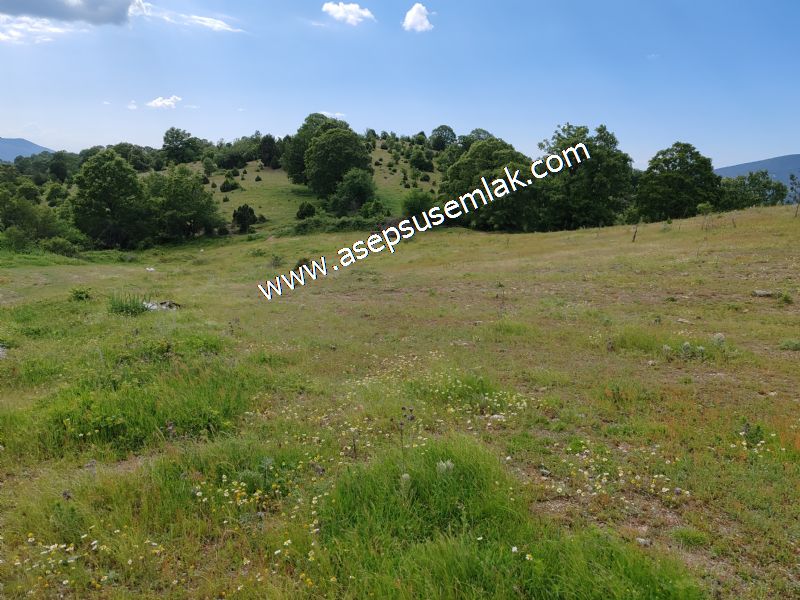 26.140 M2 GES (GÜNEŞ ENERJİ SİSTEMİ) (MARJİNAL RAPORLU)