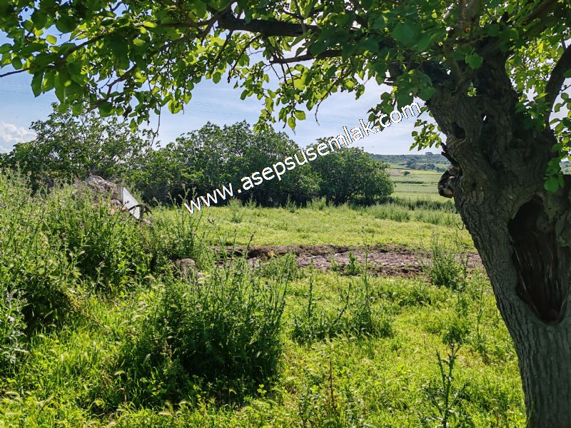 1.305 M2 Taş Ev, Köy Evi, Arsa, GÖNEN ULUKIR'DA ASEPSUS EMLAK'TA