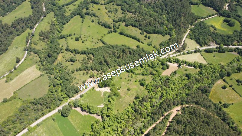 14.549 m2 Hobi Bahçesi Çiftlik Bağ-Bahçe Asfalt & Dereye Cepheli